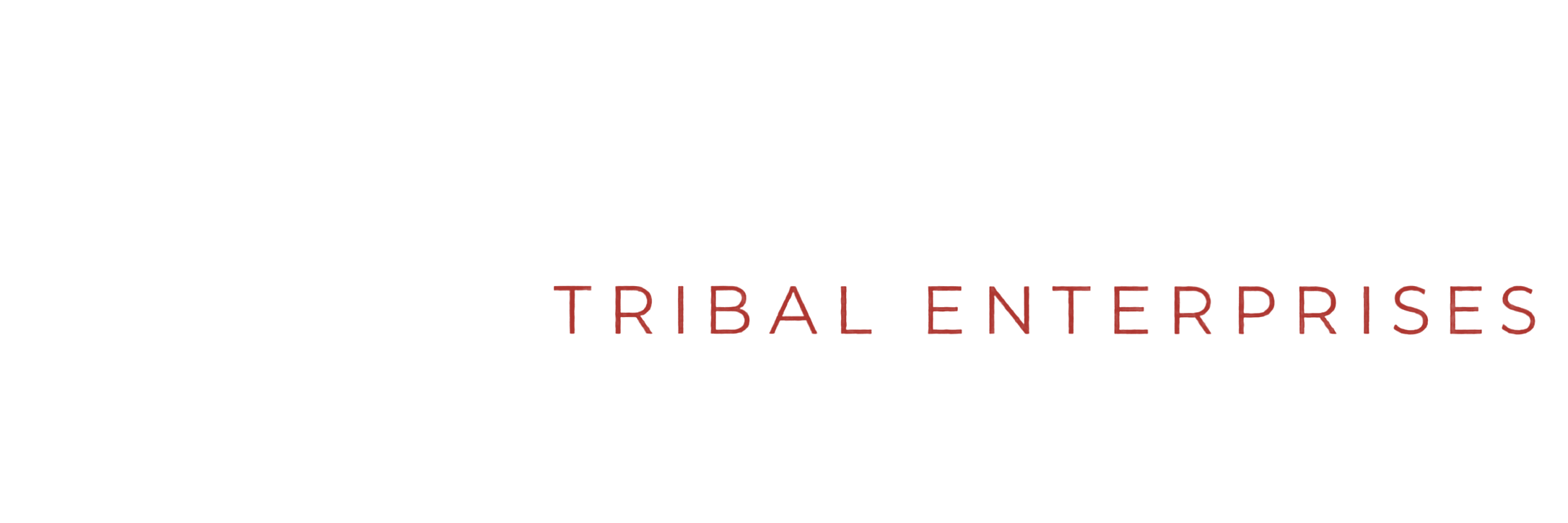 tlingit-haida-transparent About Smoke Signals Fireworks, a Tlingit & Haida-owned business in Juneau, Alaska.